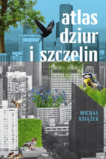 Okładka książki „Atlas dziur i szczelin”